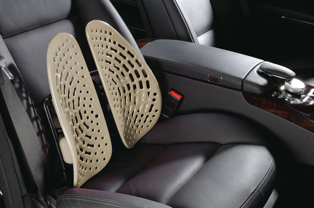 Ergoback Backrest