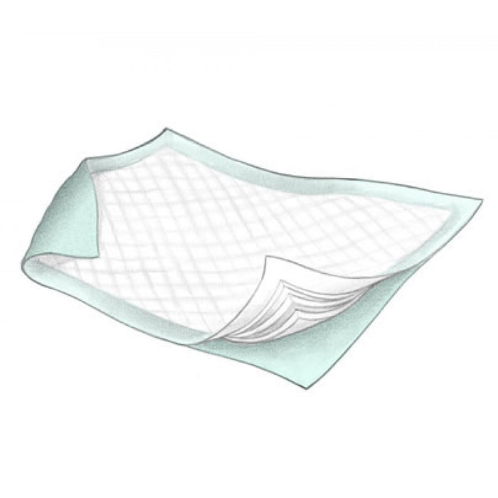 DURASORB Disposable Underpads