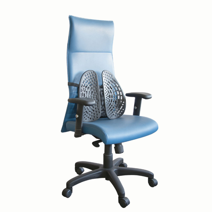 Ergoback Backrest