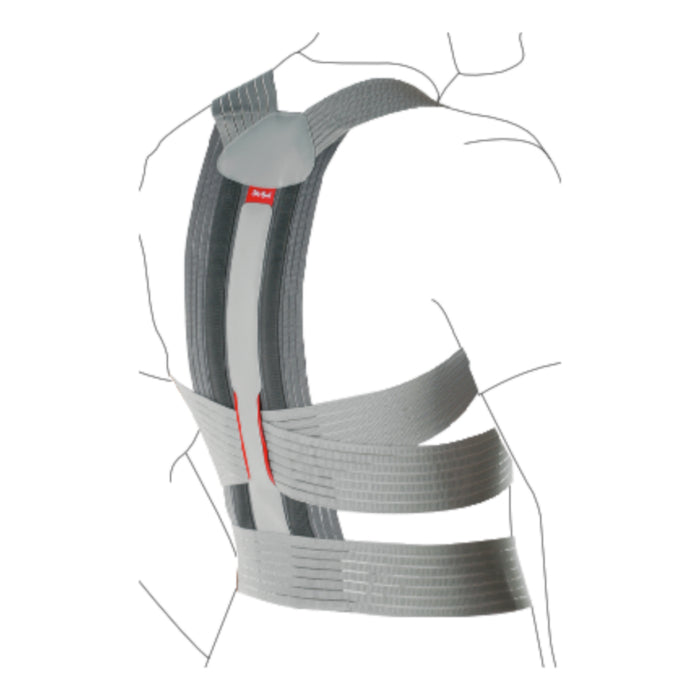 Dorso Carezza Posture Brace