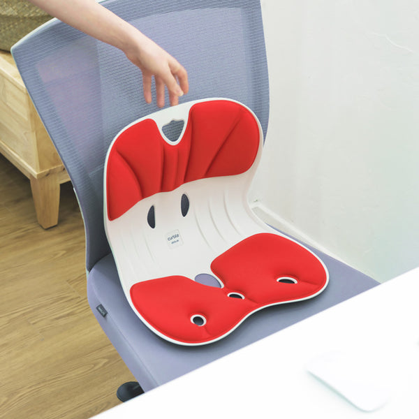 Supplemental Posture Chair Supports : Curble Chair